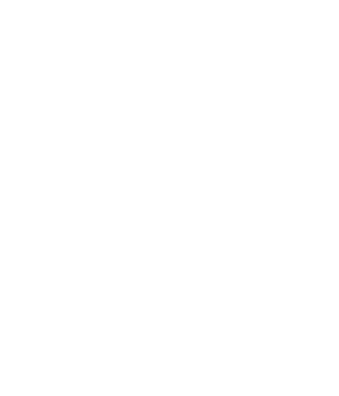 AI Development Company