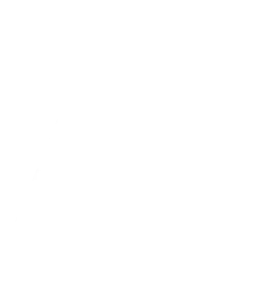 AI Development Company