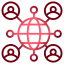 Network & Framework Selection