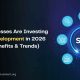Sap-development